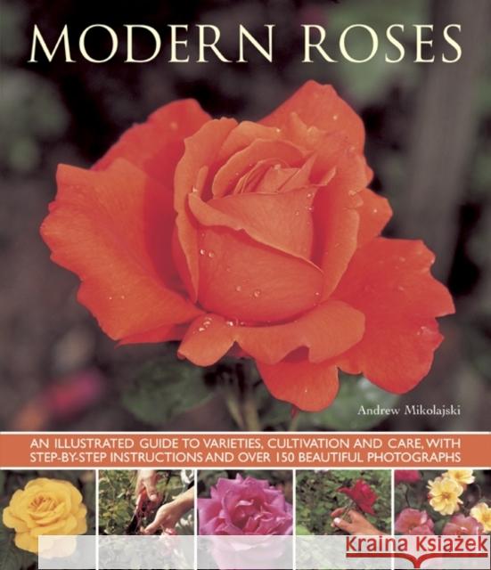 Modern Roses Andrew Mikolajski 9781780192727 Anness Publishing - książka