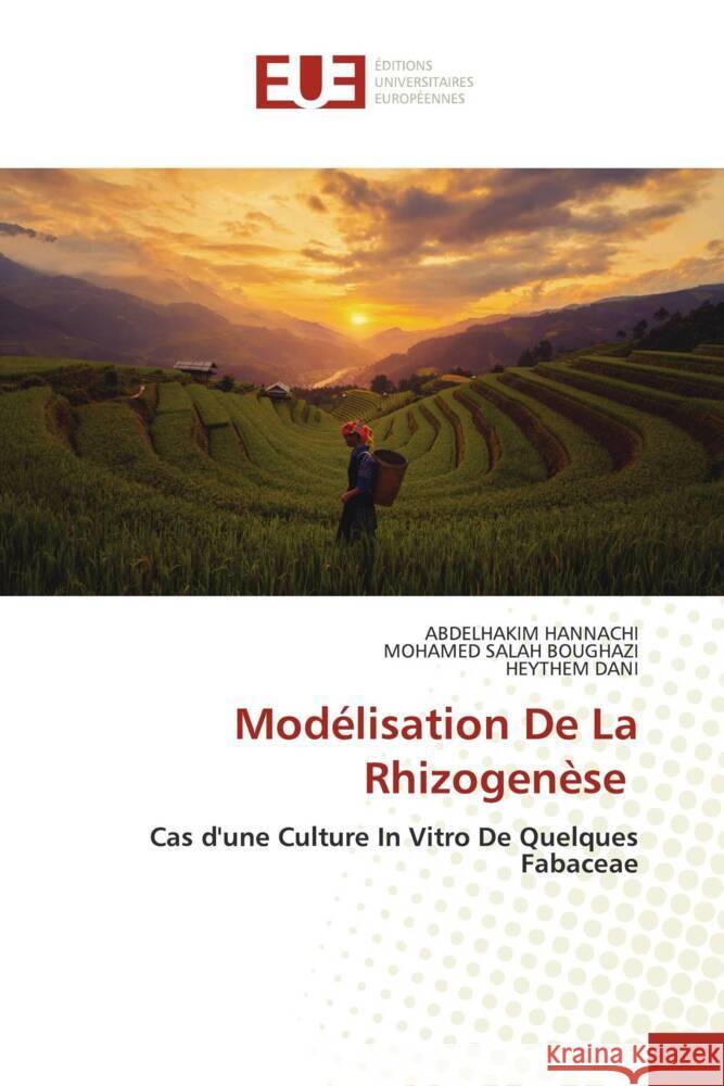Mod?lisation De La Rhizogen?se Abdelhakim Hannachi Mohamed Salah Boughazi Heythem Dani 9786206709282 Editions Universitaires Europeennes - książka