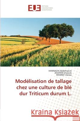 Mod?lisation de tallage chez une culture de bl? dur Triticum durum L. Hannachi Abdelhakim Zouiten Khaoula Khorief Maissa 9786206711155 Editions Universitaires Europeennes - książka