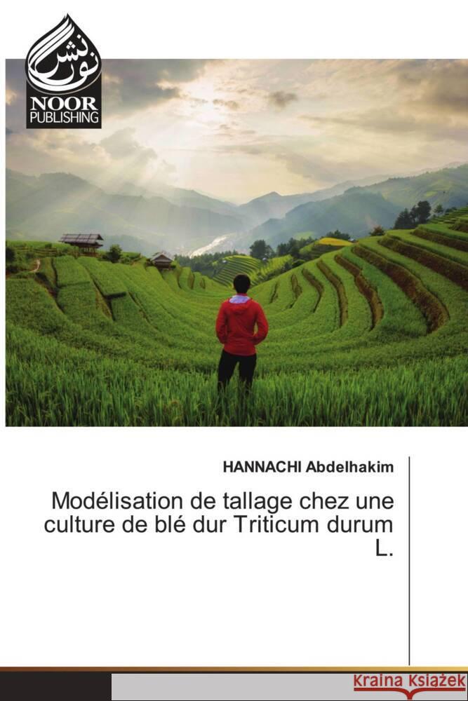 Mod?lisation de tallage chez une culture de bl? dur Triticum durum L. Hannachi Abdelhakim 9786207478637 Noor Publishing - książka