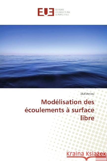 Modélisation des écoulements à surface libre Amine, Diaf 9783639620740 Éditions universitaires européennes - książka