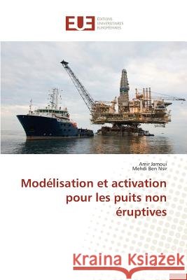 Modélisation Et Activation Pour Les Puits Non Éruptives Collectif 9783841747747 Editions Universitaires Europeennes - książka