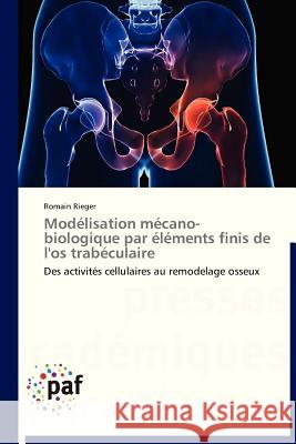 Modélisation Mécano-Biologique Par Éléments Finis de l'Os Trabéculaire Rieger-R 9783838176239 Presses Academiques Francophones - książka