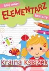 Mój mały elementarz. Kształty Wydawnictwo Skrzat 9788379158713 Skrzat - książka