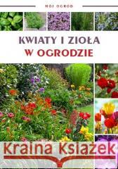 Mój ogród. Kwiaty i zioła w ogrodzie praca zbiorowa 9788380384071 Arystoteles - książka