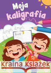 Moja kaligrafia Monika Ślizowska 9788382079968 Skrzat - książka
