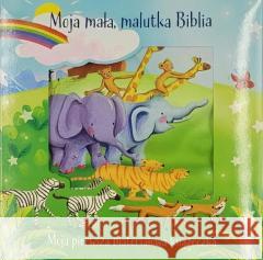 Moja mała, malutka Biblia - książeczka materiał Bethan James, Estelle Corke 9788383450384 Wydawnictwo Diecezjalne i Drukarnia w Sandomi - książka