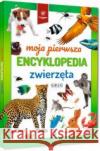 Moja pierwsza encyklopedia - zwierzęta praca zbiorowa 9788381861069 Greg
