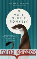 Moje głupie pomysły Bernardo Zannoni, Katarzyna Skórska 9788308081815 Literackie - książka