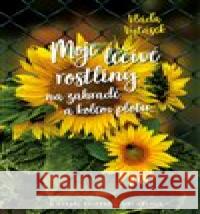 Moje léčivé rostliny na zahradě a kolem plotu Jiří Kuchař 9788072815784 Eminent - książka