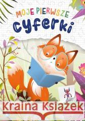Moje pierwsze cyferki Wioleta Żyłowska 9788382077988 Skrzat - książka