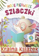 Moje pierwsze szlaczki Wioleta Żyłowska 9788382077995 Skrzat - książka