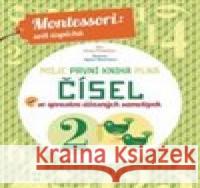 Moje první kniha plná čísel Chiara  Piroddi 9788027603015 Slovart - książka