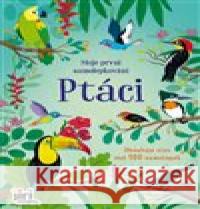 Moje první samolepkování Ptáci  8595593846569 Jiri models - książka