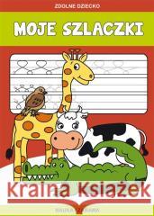 Moje szlaczki Guzowska Beata 9788381147651 Literat - książka