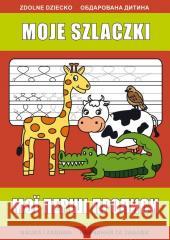 Moje szlaczki Beata Guzowska 9788382602050 LITERAT - książka