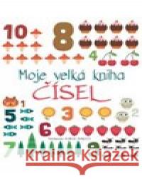 Moje velká kniha čísel Agnese Baruzzi 9788027710744 Drobek - książka