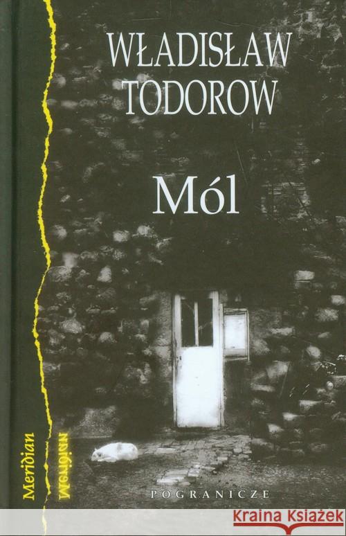Mól Todorow Władisław 9788361388029 Pogranicze - książka