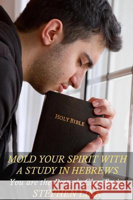 Mold Your Spirit with a Study in Hebrews: You Are the Potter's Clay Series Stephen Link 9781533044860 Createspace Independent Publishing Platform - książka