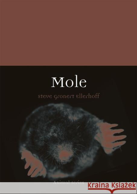 Mole Steve Gronert Ellerhoff 9781789142228 Reaktion Books - książka