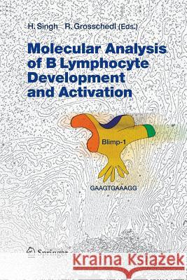 Molecular Analysis of B Lymphocyte Development and Activation Harinder Singh Rudolf Grosschedl 9783642421884 Springer - książka