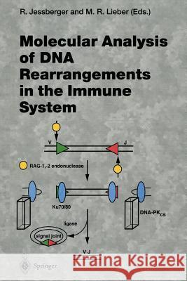 Molecular Analysis of DNA Rearrangements in the Immune System Rolf Jessberger, Michael R. Lieber 9783642501425 Springer-Verlag Berlin and Heidelberg GmbH &  - książka