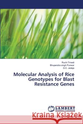 Molecular Analysis of Rice Genotypes for Blast Resistance Genes Trivedi Ruchi                            Punwar Bhupendra Singh                   Jadeja G. C. 9783659331565 LAP Lambert Academic Publishing - książka