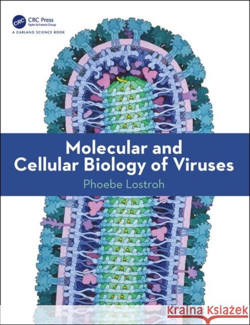 Molecular and Cellular Biology of Viruses Phoebe Lostroh 9780815345237 Garland Science - książka
