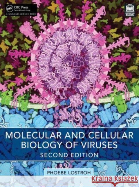 Molecular and Cellular Biology of Viruses Phoebe Lostroh 9781032732121 Taylor & Francis Ltd - książka