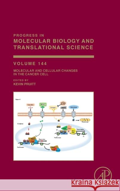 Molecular and Cellular Changes in the Cancer Cell: Volume 144 Pruitt, Kevin 9780128093283 Academic Press - książka