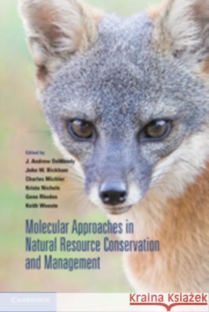 Molecular Approaches in Natural Resource Conservation and Management J. Andrew Dewoody John W. Bickham Charles Michler 9780521731348 Cambridge University Press - książka
