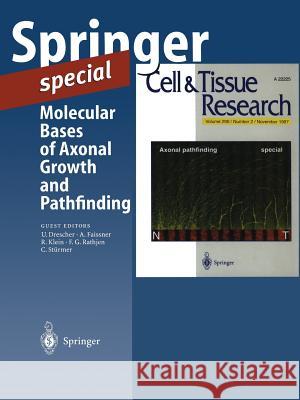 Molecular Bases of Axonal Growth and Pathfinding Drescher                                 U. Drescher 9783540635222 Springer - książka