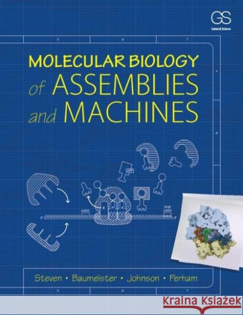 Molecular Biology of Assemblies and Machines Wolfgang Baumeister Louise Johnson Richard Perham 9780815341666 Taylor & Francis - książka