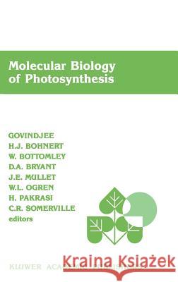 Molecular Biology of Photosynthesis Govindjee                                Hans J. Bohnert W. Bottomley 9780792300977 Kluwer Academic Publishers - książka