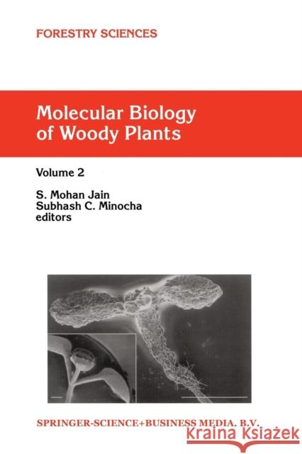 Molecular Biology of Woody Plants: Volume 2 Jain, S. M. 9789048154272 Not Avail - książka