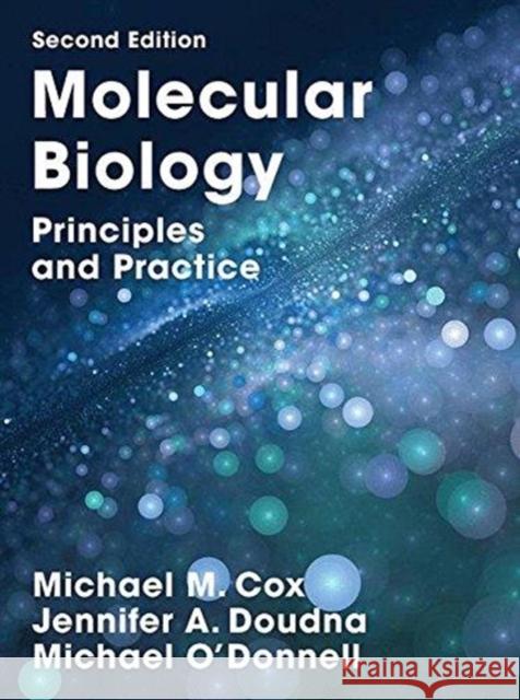 Molecular Biology: Principles and Practice Michael O'Donnell 9781319154134 Macmillan Learning - książka