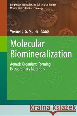 Molecular Biomineralization: Aquatic Organisms Forming Extraordinary Materials Müller, Werner E. G. 9783642212291 Springer-Verlag Berlin and Heidelberg GmbH &  - książka