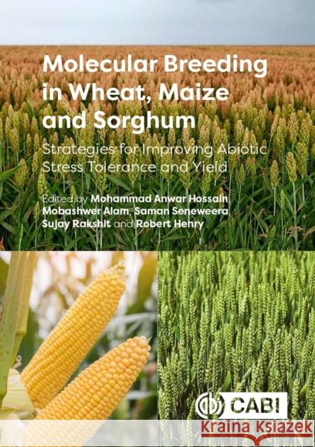 Molecular Breeding in Wheat, Maize and Sorghum: Strategies for Improving Abiotic Stress Tolerance and Yield Mohammad Anwar Hossain Mobashwer Alam Saman Seneweera 9781789245431 Cabi - książka