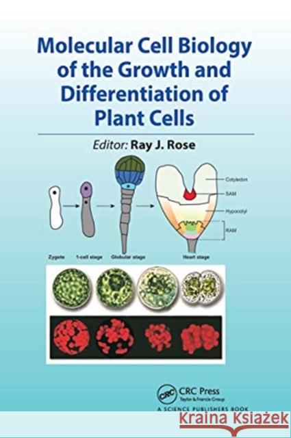 Molecular Cell Biology of the Growth and Differentiation of Plant Cells  9780367782917 Taylor and Francis - książka