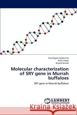 Molecular characterization of SRY gene in Murrah buffaloes Jayakumar Sivalingam 9783659278341 LAP Lambert Academic Publishing - książka