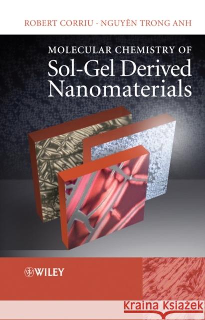 Molecular Chemistry of Sol-Gel Derived Nanomaterials Nguyen Trong Anh 9780470721179 John Wiley & Sons - książka