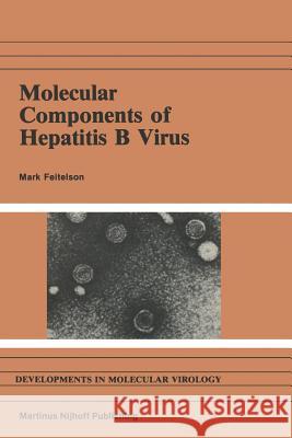 Molecular Components of Hepatitis B Virus M. Feitelson 9781461296157 Springer - książka