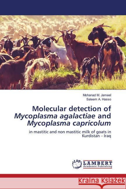 Molecular detection of Mycoplasma agalactiae and Mycoplasma capricolum M. Jameel, Mohanad, A. Hasso, Saleem 9786202678773 Wydawnictwo Bezkresy Wiedzy - książka
