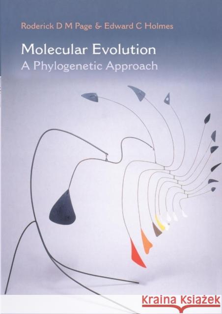 Molecular Evolution : A Phylogenetic Approach  Page R.D.M. Hol 9780865428898 BLACKWELL PUBLISHERS - książka