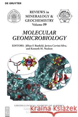 Molecular Geomicrobiology Jillian F. Banfield, Javiera Cervini-Silva, Kenneth Nealson 9780939950713 de Gruyter - książka