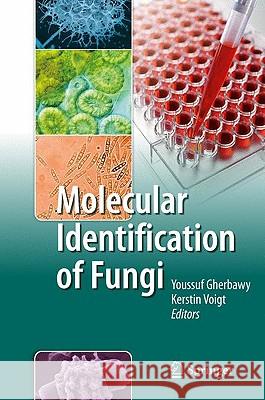 Molecular Identification of Fungi Youssuf Gherbawy Kerstin Voigt 9783642050411 Springer - książka