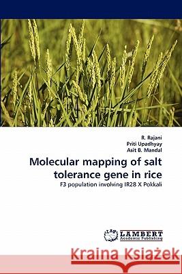 Molecular Mapping of Salt Tolerance Gene in Rice R Rajani, Priti Upadhyay, Asit B Mandal 9783844334388 LAP Lambert Academic Publishing - książka