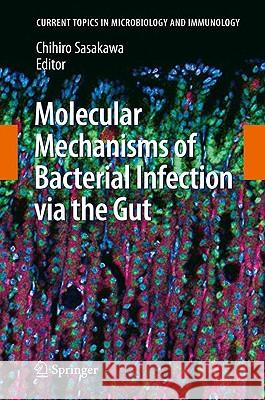 Molecular Mechanisms of Bacterial Infection Via the Gut Sasakawa, Chihiro 9783642018459 Springer - książka