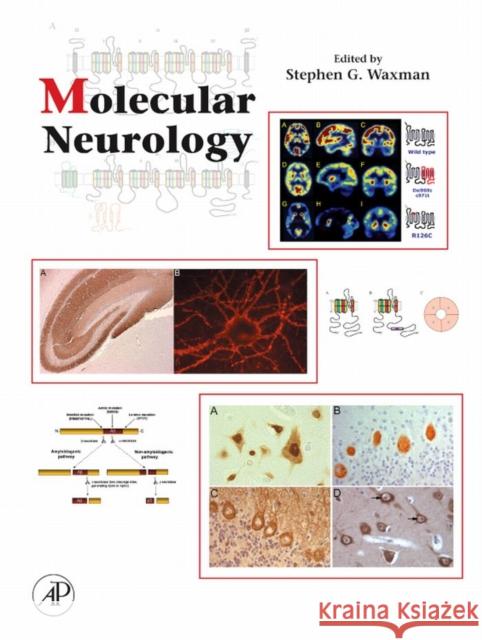 Molecular Neurology Stephen G. Waxman 9780123695093 Academic Press - książka