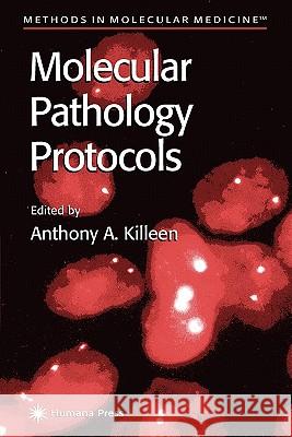 Molecular Pathology Protocols Anthony A. Killeen 9781617371318 Springer - książka